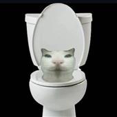 th