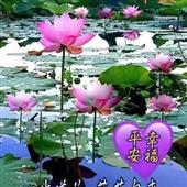 Sự