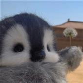 Th