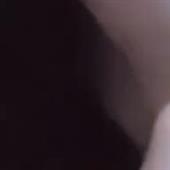 Bl