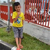 Dự đ