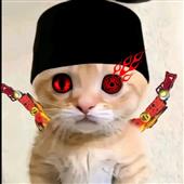 FI