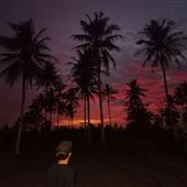 Hải 