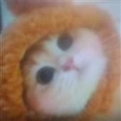 Bí