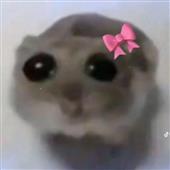 Kỷ