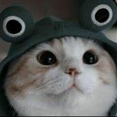 Mùa 
