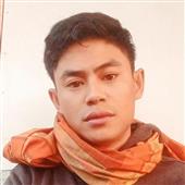 Bố