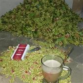Năm 