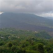 Bó