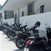 Tự t