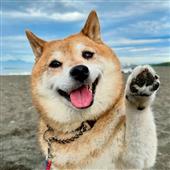 An