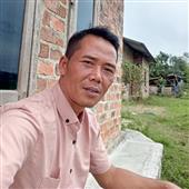 Sự T