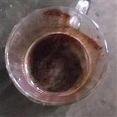 Gi