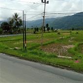 Ngày