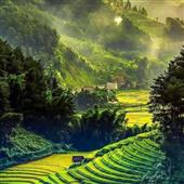 Tải 