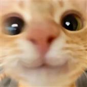 THAI