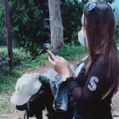 Bữ