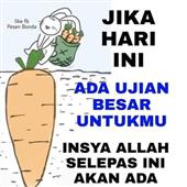Cung