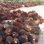 Lợ