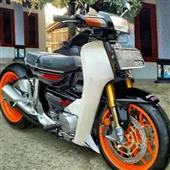 Cung