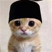 Giải