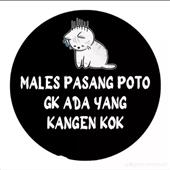 Vàng