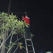 Bả