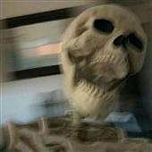 Bl