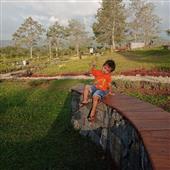 Linh