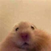 Đèn 