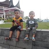 Phỉn