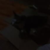 Ứn