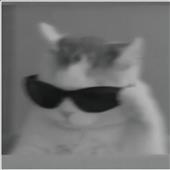 Bó