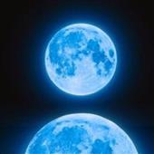 We