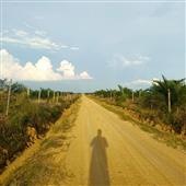 đấ