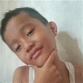 Dự