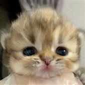 Đạ