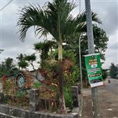 Ngọc