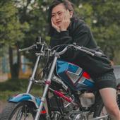 Luật