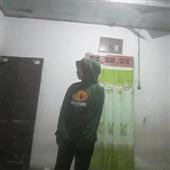 Sl