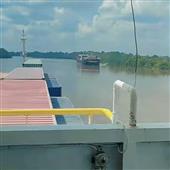 Vận 