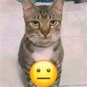 Ki