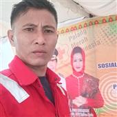 Cung