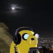 Gi
