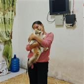 Kế