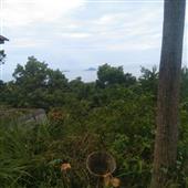 Bảng