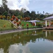 Tỷ