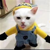 Kết 