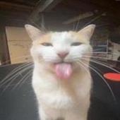 Kè