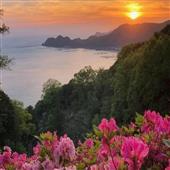 Bắ